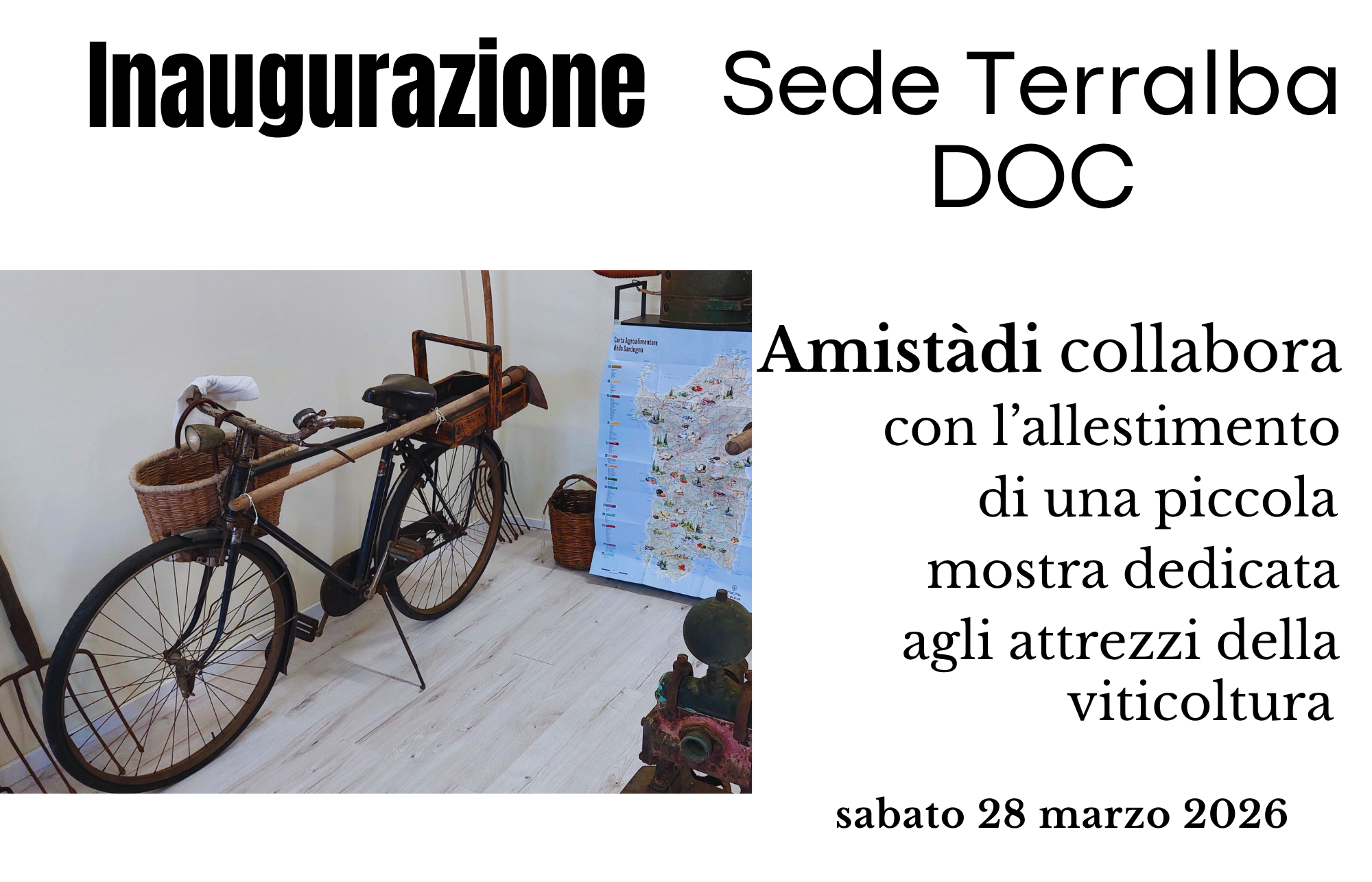 articolo Terralba DOC