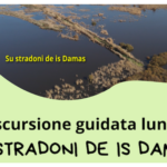 evento Stradoni_Damas