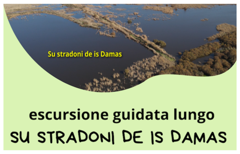evento Stradoni_Damas