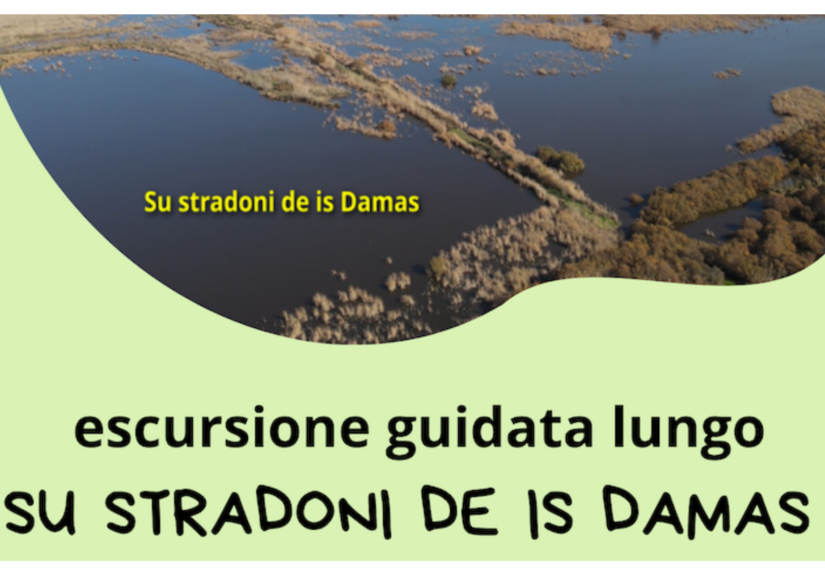 evento Stradoni_Damas
